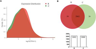 The Transcriptomic and Bioinformatic Characterizations of Iron Acquisition and Heme Utilization in Avibacterium paragallinarum in Response to Iron-Starvation